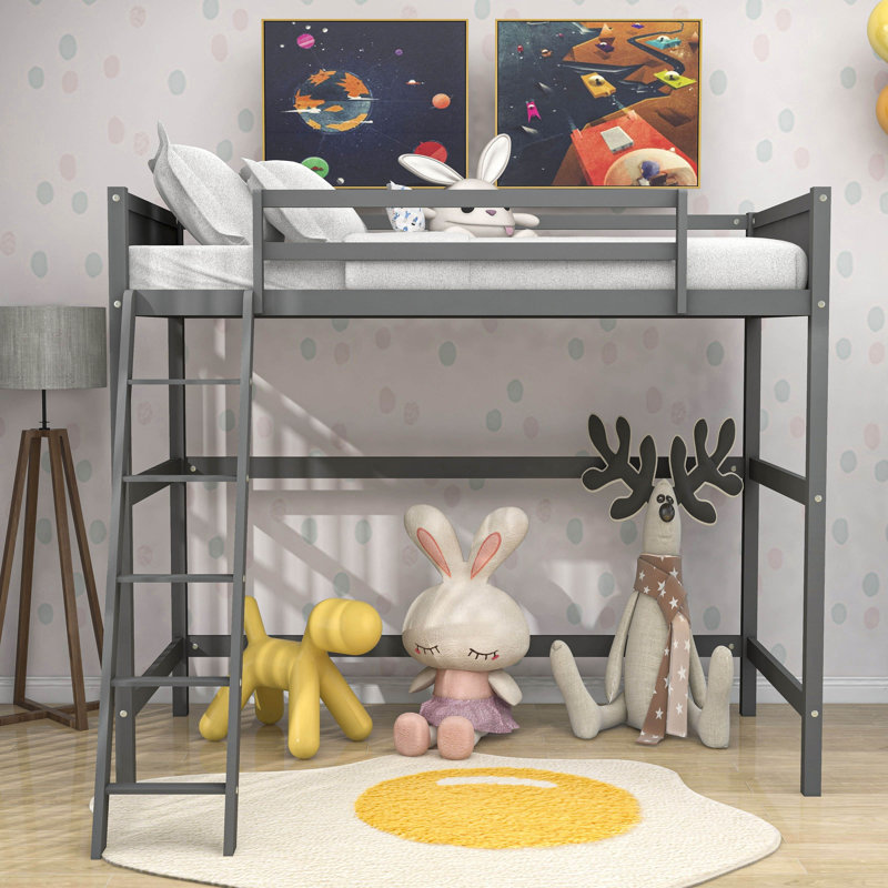 Danitra Kids Twin Loft Bed, Gray
