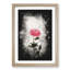 Climbing Pink Rose - Framed Print-56742456-56742460
