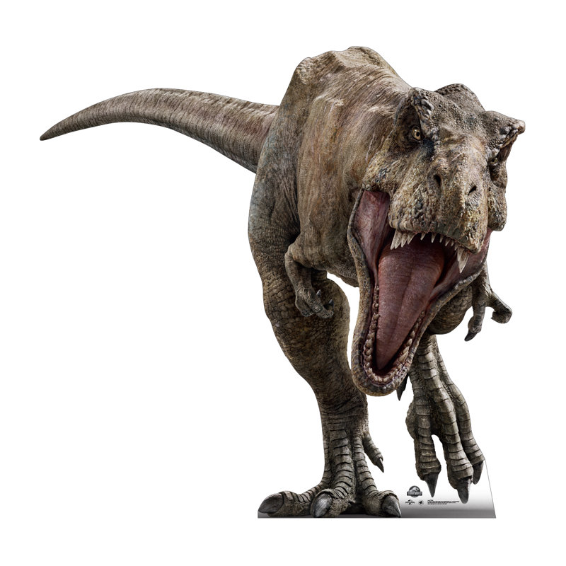 T-Rex taille réelle en carton graphique