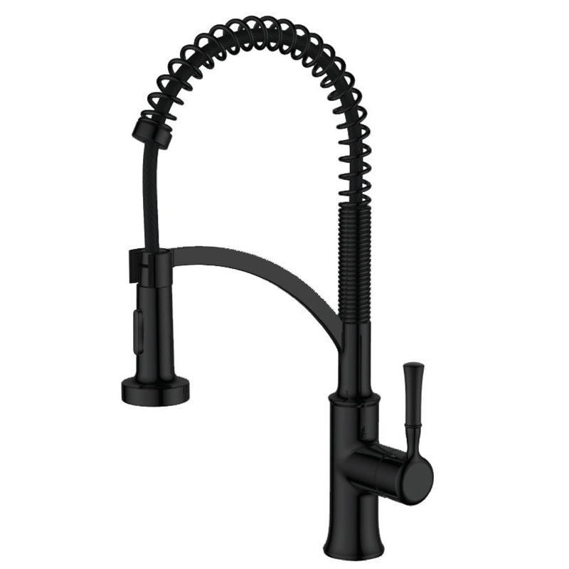 Robinet de cuisine rétractable à poignée simple avec accessoires, Noir mat