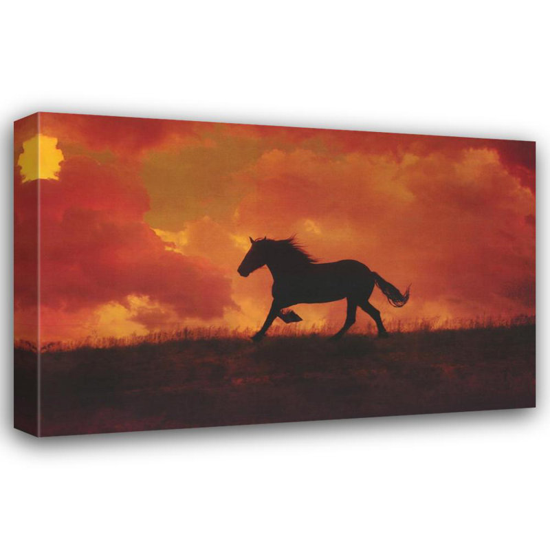 Le cheval oublié, H 12 po x l 18 po