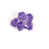 Purple is out of stock
