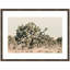 «Joshua Tree No. 1» par Alicia Bock, reproduction d'art encadrée