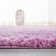 Charing Shag Area Rug