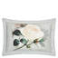 Peonia Grande Zinc Sham-639233060