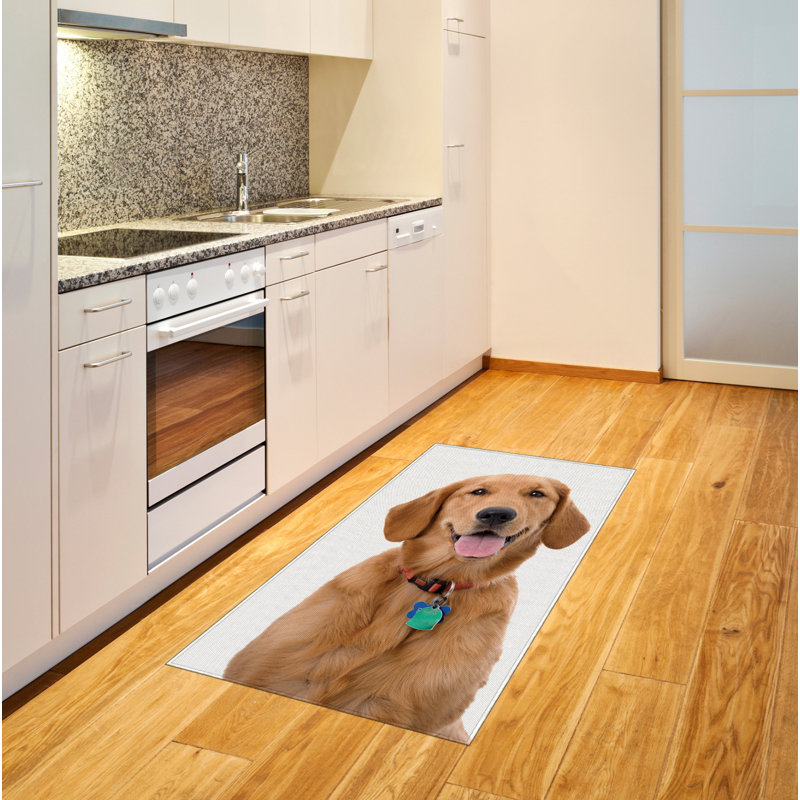 Golden Retriever High Density Long Fiber Poly Threads Decorative Area Rug Carpet, Rectangle 4' x 5'8"