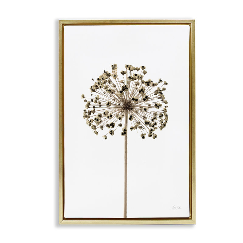  Toile flottante encadrée Minimal Allium Bud par Deborah Revell, H 31 po x l 21 po, Cadre flottant métallique doré