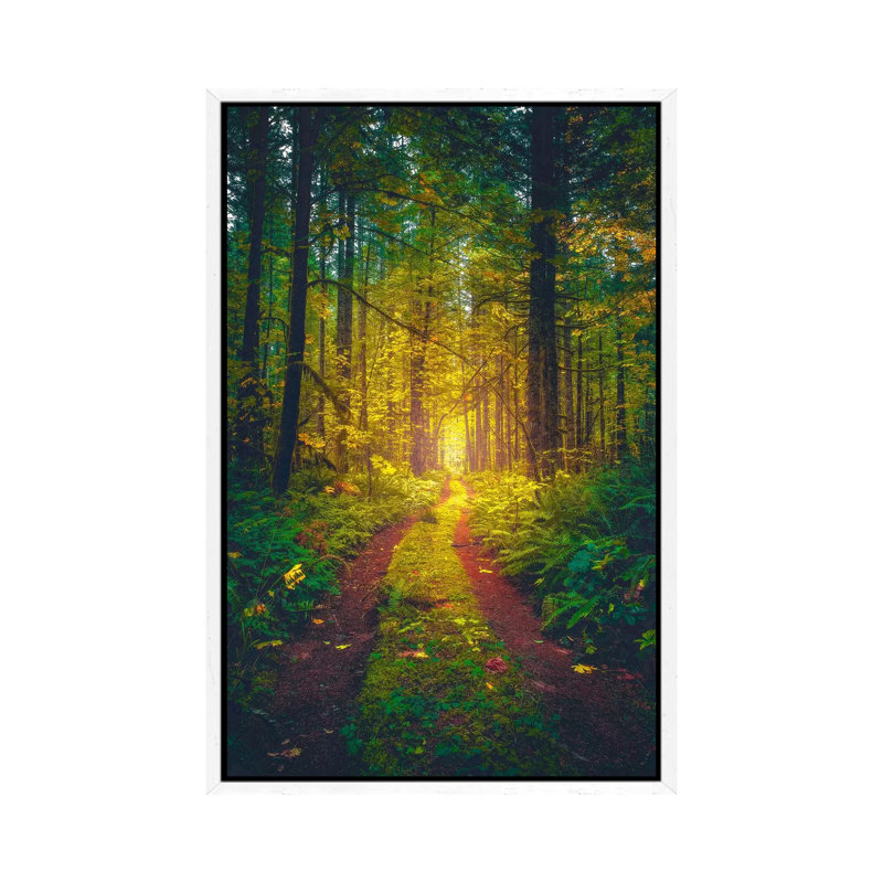 The Forest Of Dreams by Zach Doehler - Print on Canvas, 101.6 cm H x 66.04 cm W, White Framed