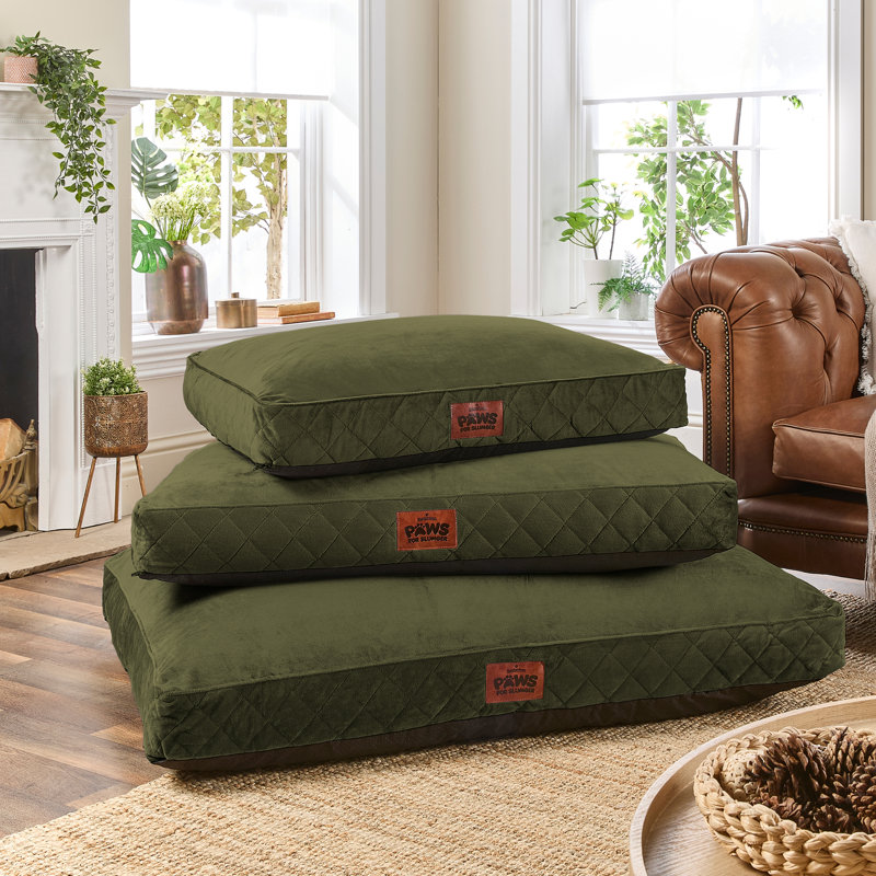 Slumberdown Paws for Slumber Raised Padded Dog Bed – Comfortable, Supportive & Durable Pet Bed for All Breeds, Green
