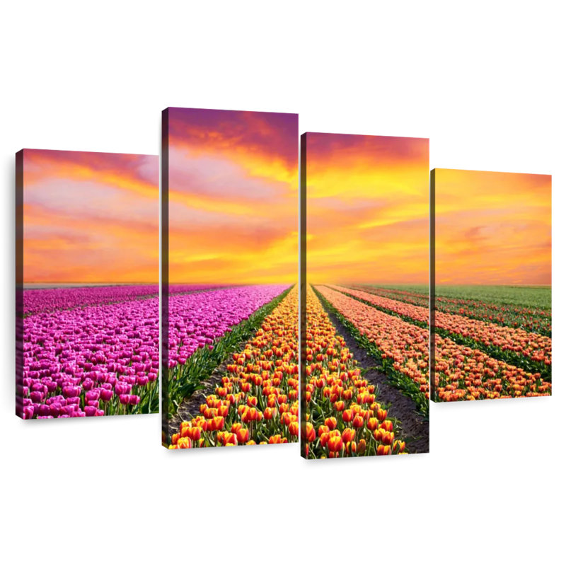 Alvord Vibrant Spring Tulip Rows, 48" H x 75" W