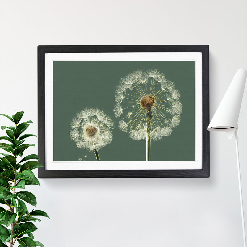 Ethereal Dandelion Flowers - Single Picture Frame Print, 46cm H x 64cm W x 2cm D, Black