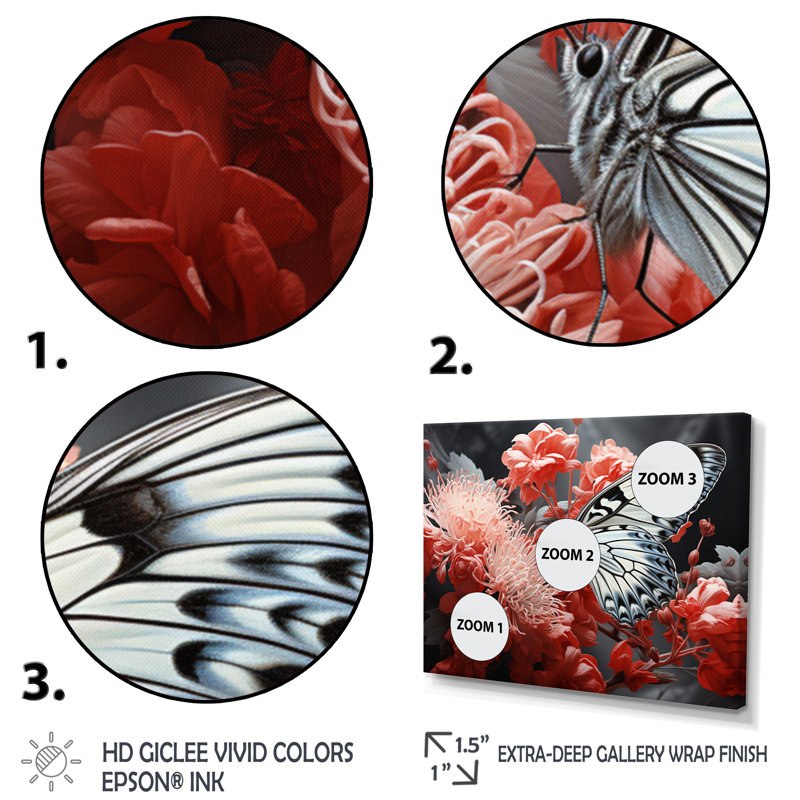 «Red Grey Butterfly Haven I», reproduction d'art sur toile, Cadre photo noir, H 34 po x l 44 po x P 1,5 po
