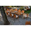 Teddy Oval 8 - Person Outdoor Dining Set