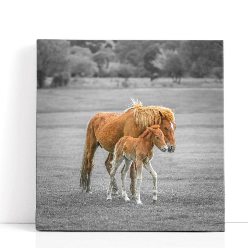 Cheval avec poulain - reproduction d'art sur toile, H 40 po x l 40 po