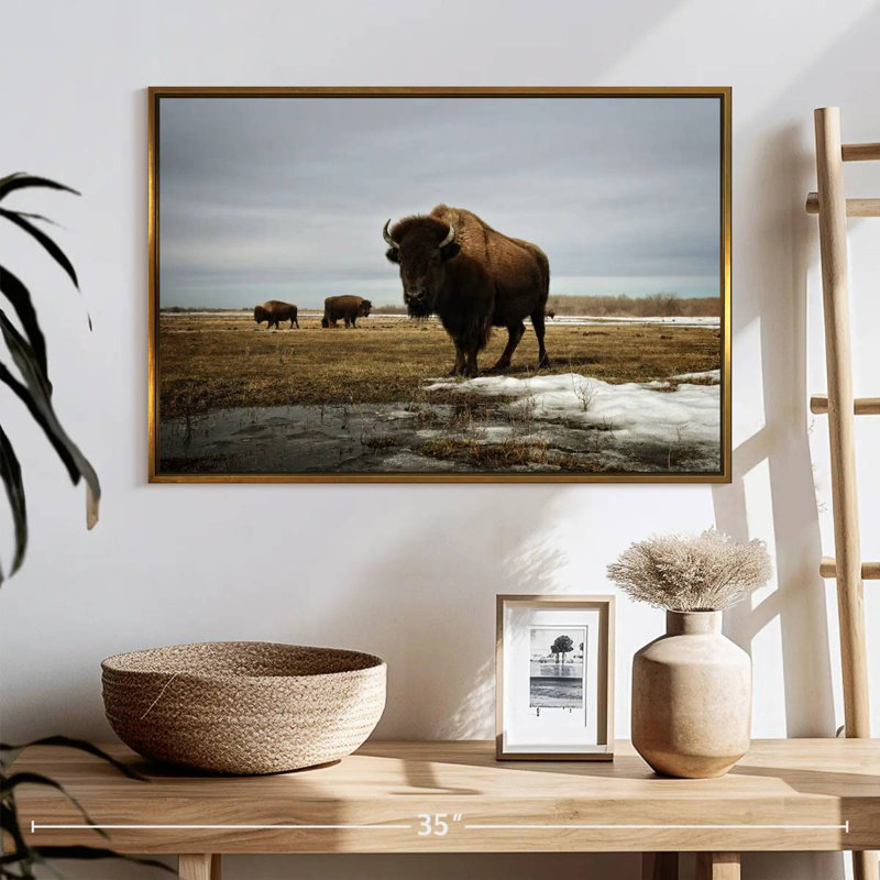 Bison Cloud Day, Cadre flottant doré, 25 po x 17 po