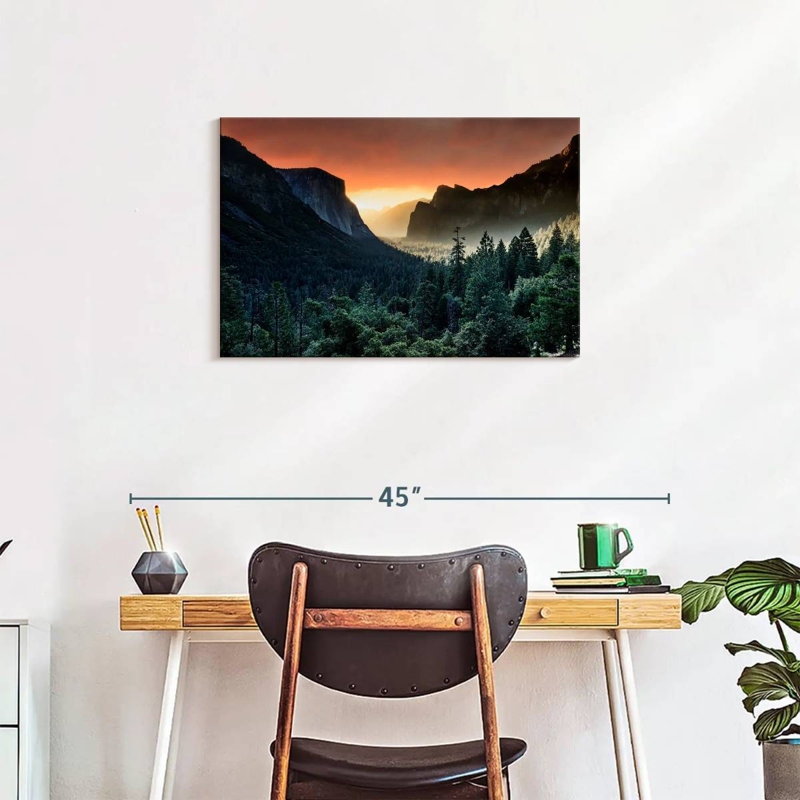 Harnek Forest Last Light, 20" H x 30" W