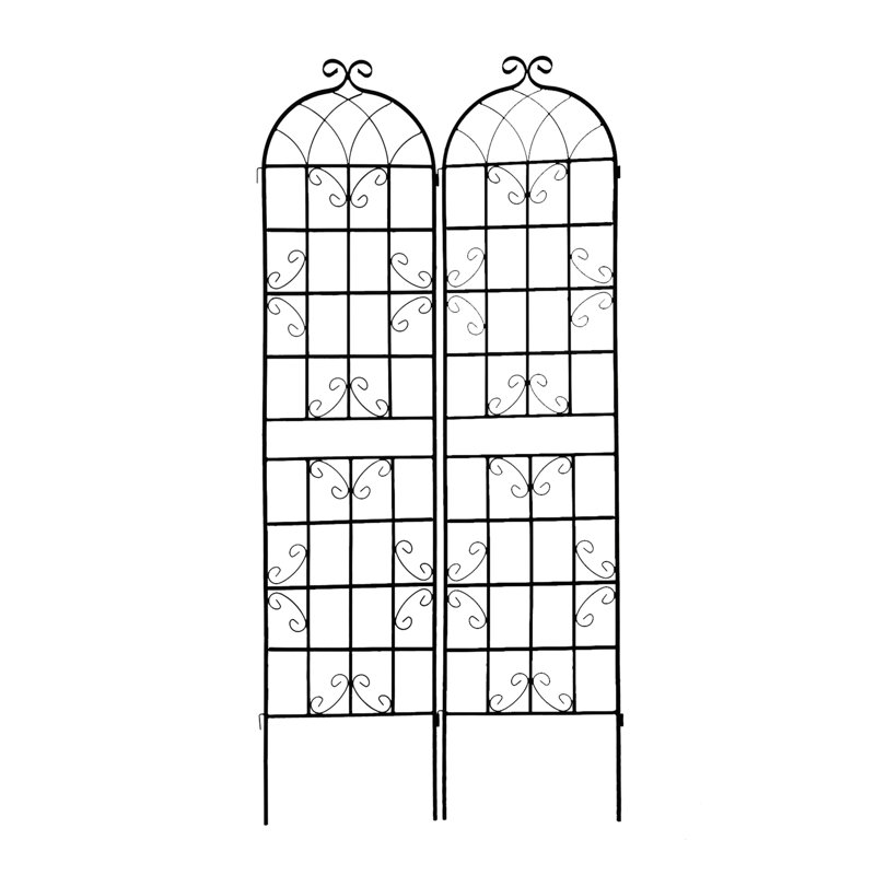 Paquet de 2 treillis de jardin en métal antirouille pour plantes grimpantes, Blanc, crème