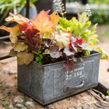 Slavens Metal Planter Box