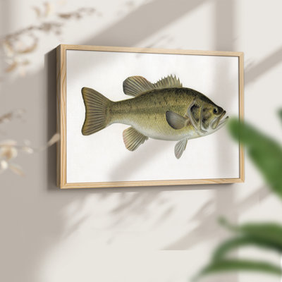 Female Brook Trout -Framed Print - Restickable