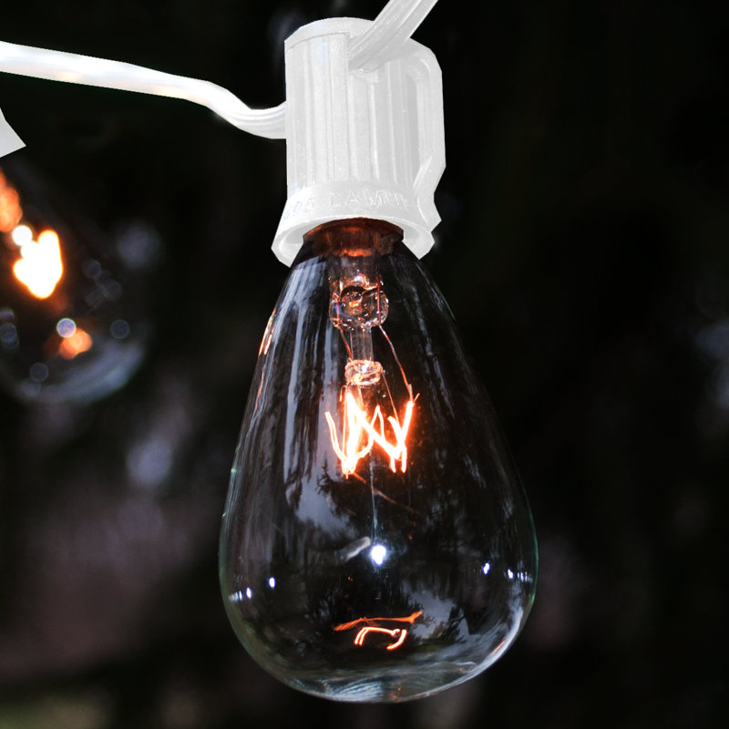 Edison String Lights Outdoor Plug-in String Light, 600" L, White