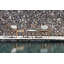 Attol Coffee Table-18752007-18752011