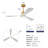 Indoor Ceiling Fan With Dimmable LED Light 3 Solid Wood Blades Remote Control Reversible DC Motor