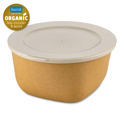 Food Storage Container