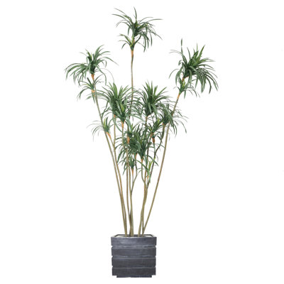 104'' Faux Dragon Tree Tree in Pot