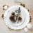 Willems Plastic / Acrylic Abstract Charger