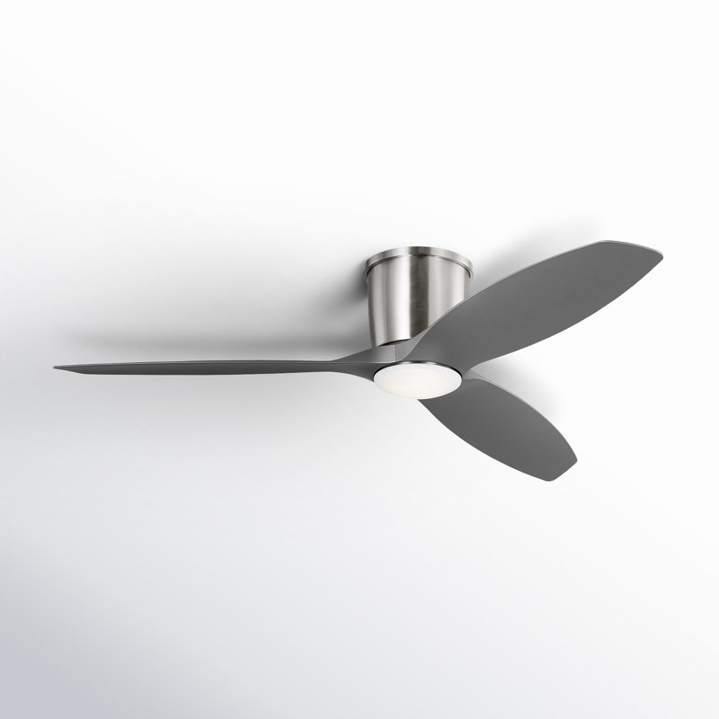 Ventilateur de plafond avec lumières DEL Aisling, Argent argent, Acier brossé, 52"