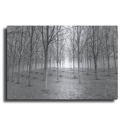 " Nature Reorganised " by IMB