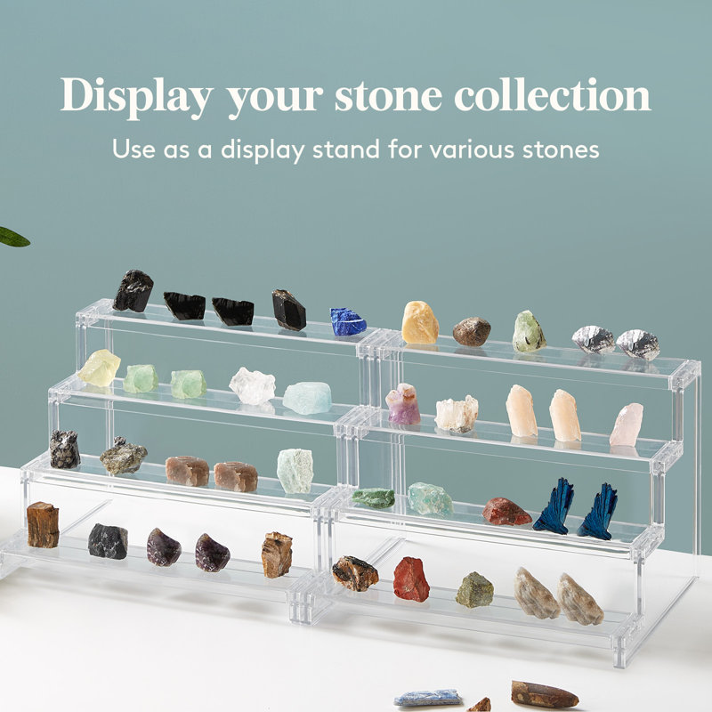 2.36'' H x 10.85'' W Plastic Display Case