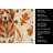 Reddish Brown Great Pyrenees Heirloom Fall Kitchen Towel-1218231067
