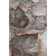 Premium Machine Washable Cerrito Amf525 Peach Rug