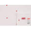 Ensemble de serviettes de bain 100% coton 2 pièces Jeylah-1072027802