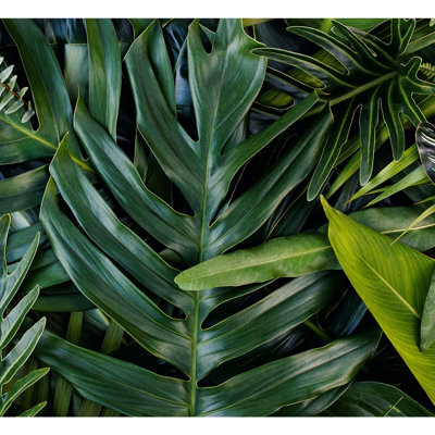 Green Haven Leaf Vibrant