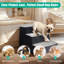 Escalier à 3 marches pour petits chiens et chats-1172480716