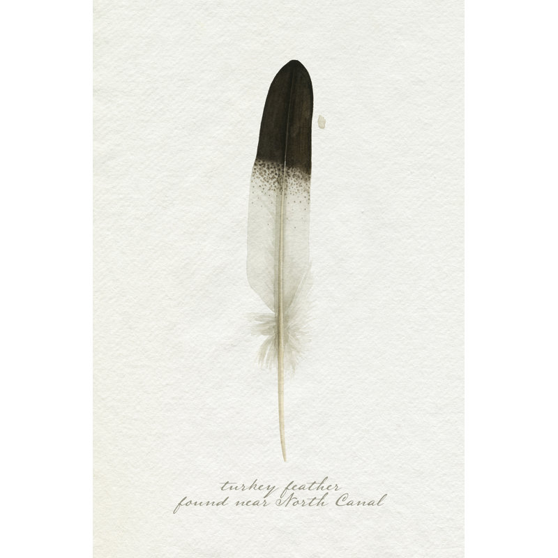 " Found Feather IV " by Grace Popp, 30" H x 20" W