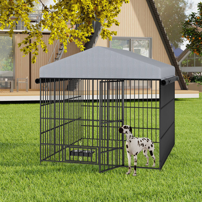 Grand enclos extérieur pour chien avec enclos pour chien