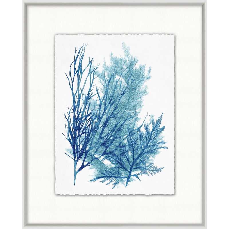 Azure Ocean Herbarium 7' Framed Graphic Art Print on Glass