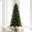 Vickerman 7.5'' X 44" Douglas Fir Artificial Slim Unlit Christmas Tree.-1365099135