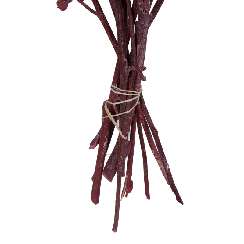 13'' Branch, Red