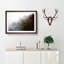 Mist Around the Forest - Picture Frame Graphic Art Print-55733684-55733685