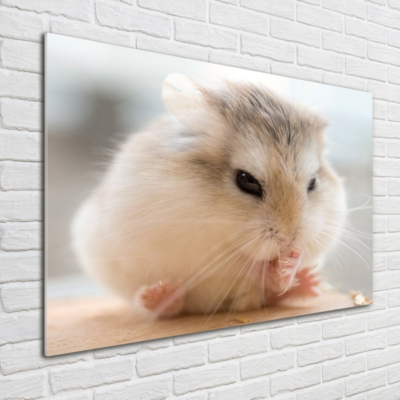 Hamster - No Frame Print on Glass