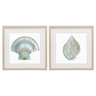 Regal Clam Shell Duo 2pc Framed Print Under Glass Set, design by Lorenzo Collective