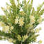 Centres de table Wild Heather en pot