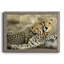 Ensemble de sous-verres 4 pièces 4 pièces-501012921-501012913
