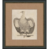 Antique Eagle Painting