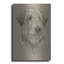 «Irish Wolfhound» par Barbara Keith-292862656