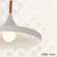 - Light Polished Nickel Dome Pendant